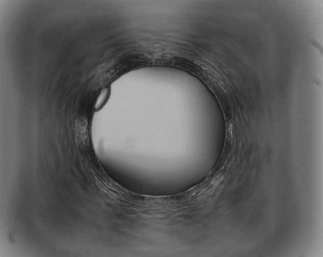 X0000092060963200709121002