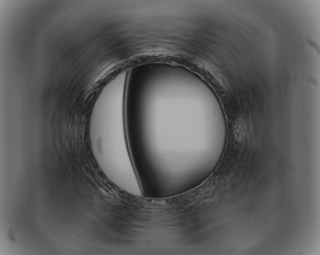 X0000092060968200709121002