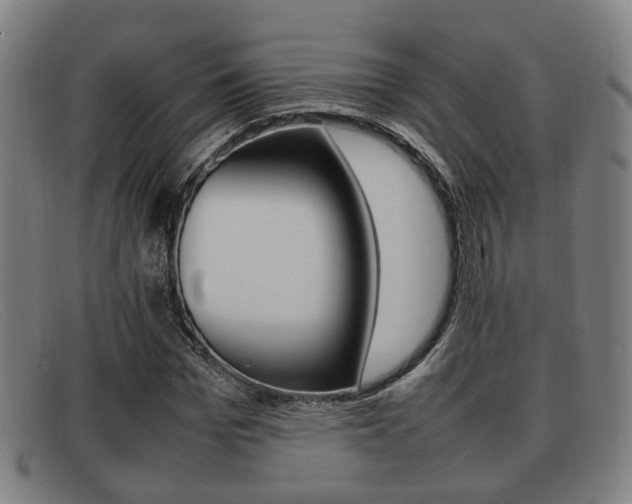 X0000092060969200709121002