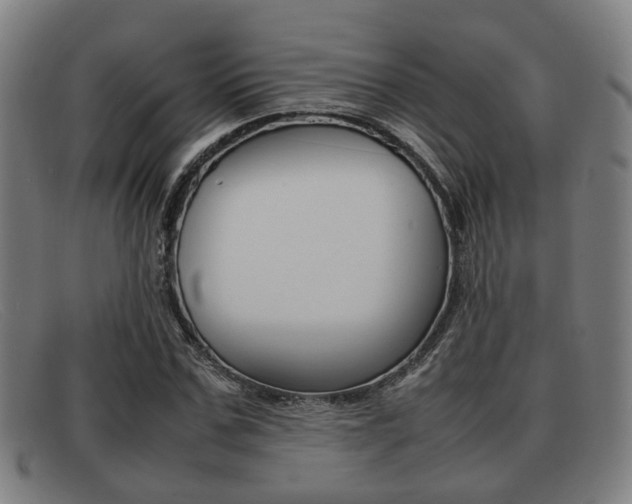 X0000092060971200709121002