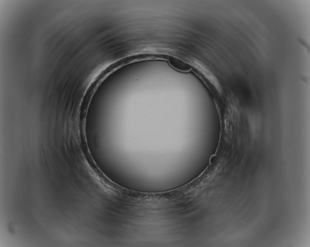 X0000092060972200709121002
