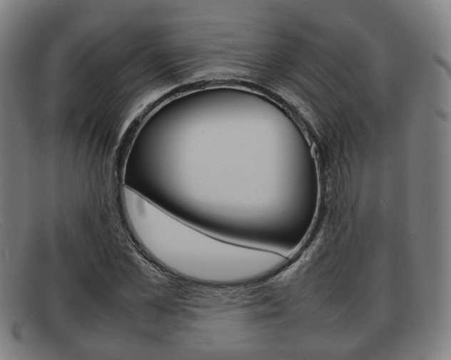 X0000092060973200709121002