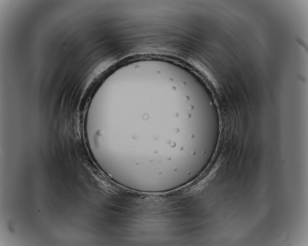 X0000092060974200709121002