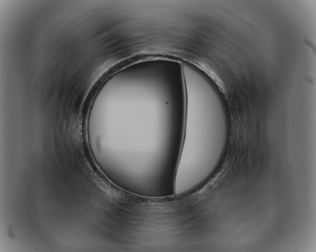 X0000092060976200709121002