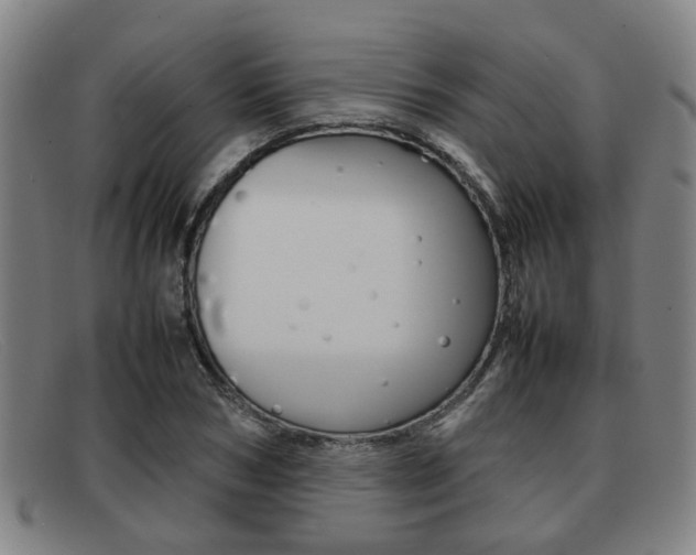 X0000092060978200709121002