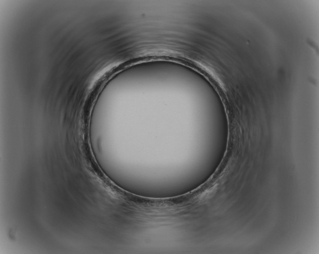 X0000092060979200709121002