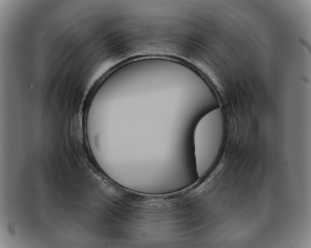 X0000092060982200709121002