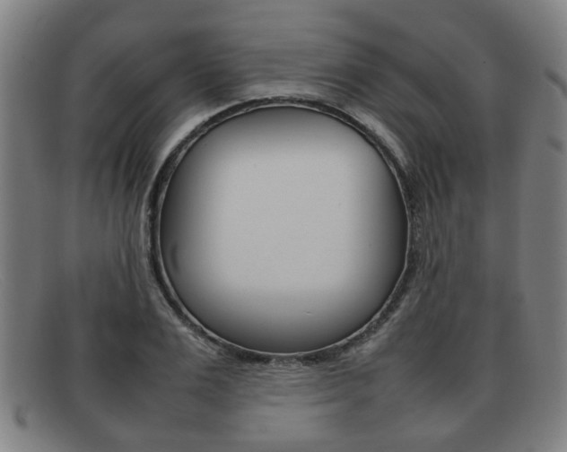 X0000092060983200709121002