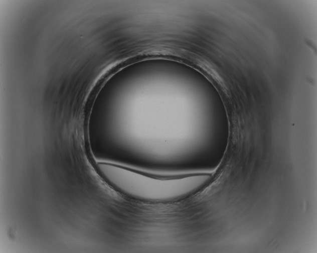 X0000092060984200709121002