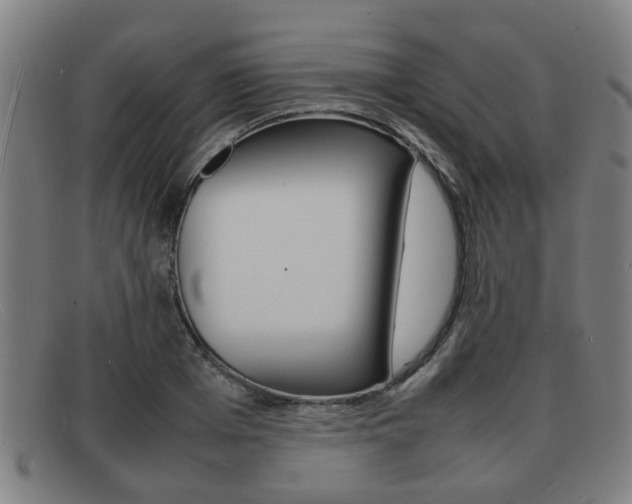 X0000092060985200709121002