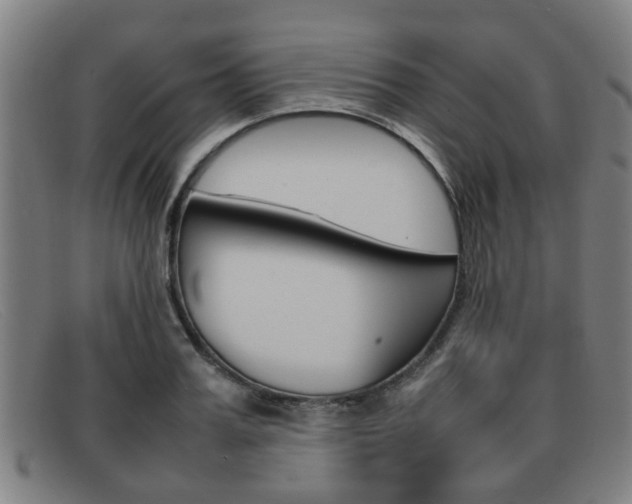 X0000092060987200709121002