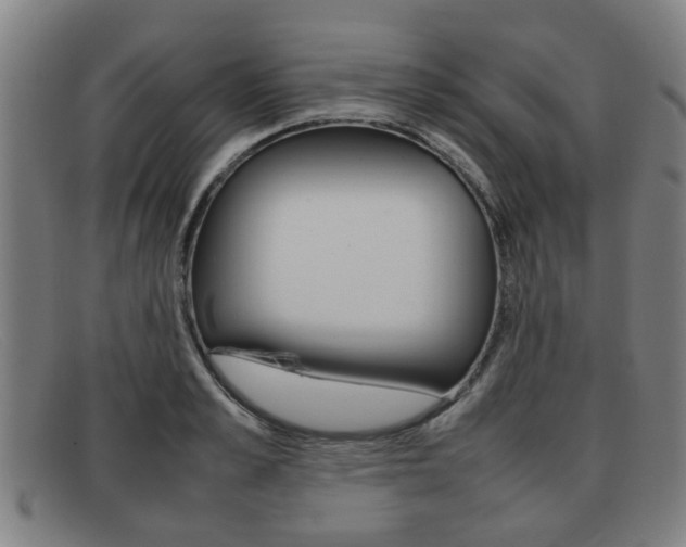 X0000092060989200709121002