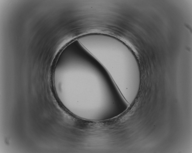 X0000092060991200709121002