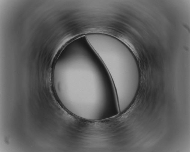 X0000092060992200709121002