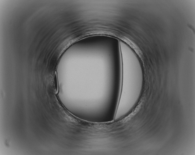 X0000092060993200709121002
