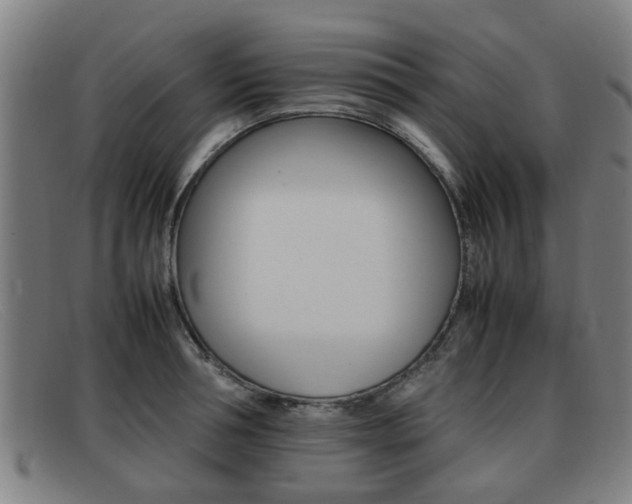 X0000092060994200709121002