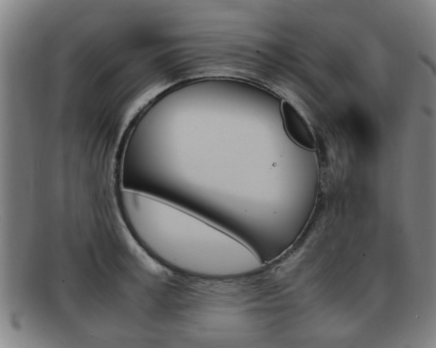 X0000092060995200709121002