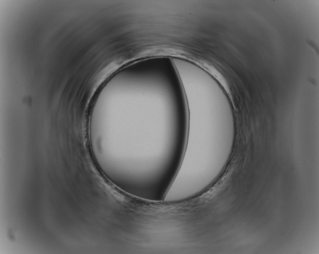 X0000092060997200709121002