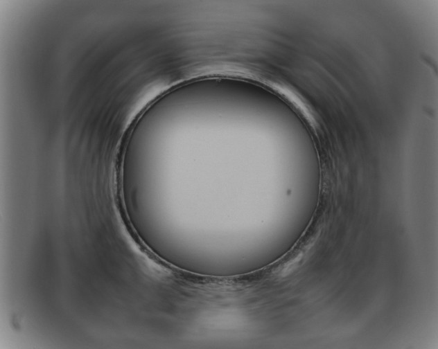 X0000092060999200709121002