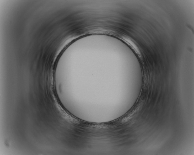 X0000092061000200709121002
