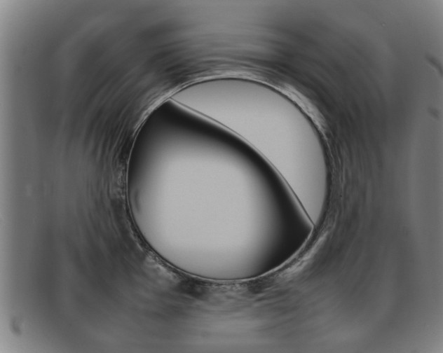 X0000092061001200709121002