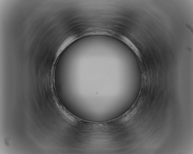 X0000092061002200709121002