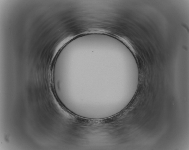 X0000092061003200709121002