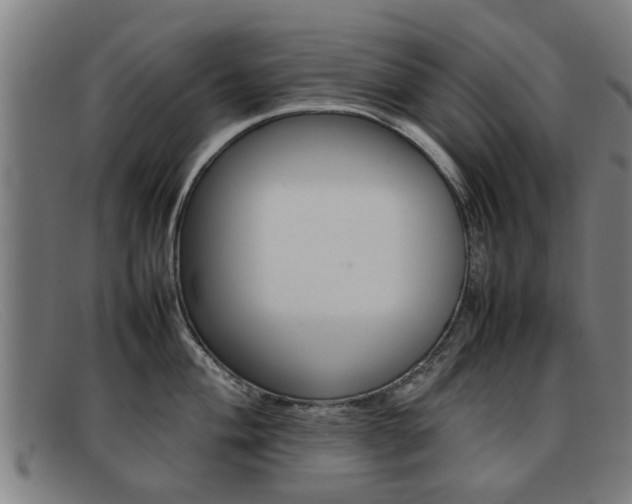 X0000092061004200709121002