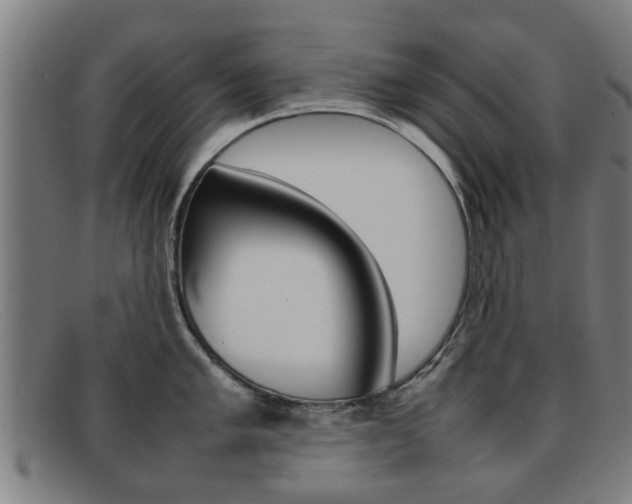 X0000092061005200709121002