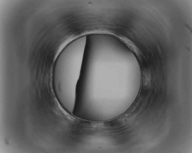 X0000092061006200709121002