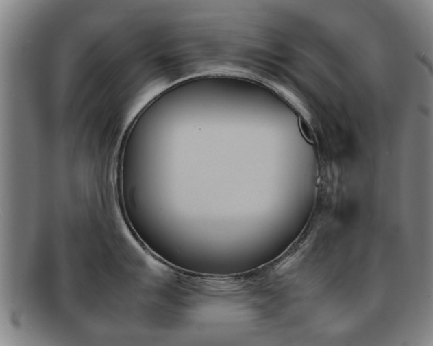 X0000092061007200709121002