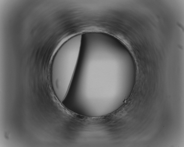X0000092061008200709121002