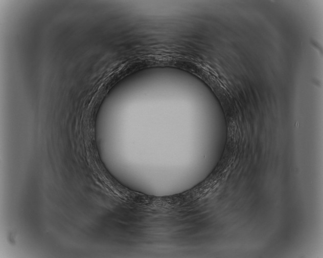 X0000092061009200709121001