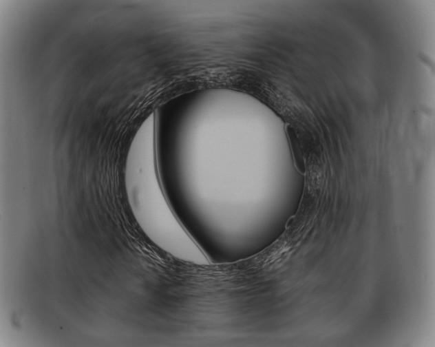 X0000092061010200709121001