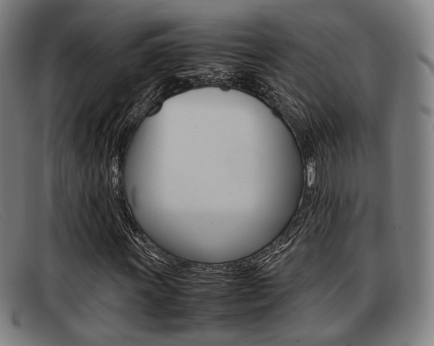 X0000092061011200709121001