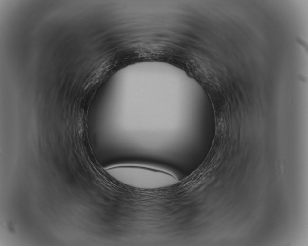 X0000092061012200709121001