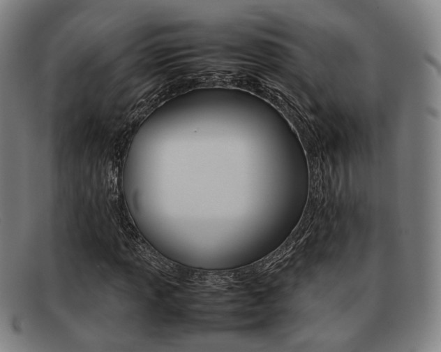X0000092061013200709121001