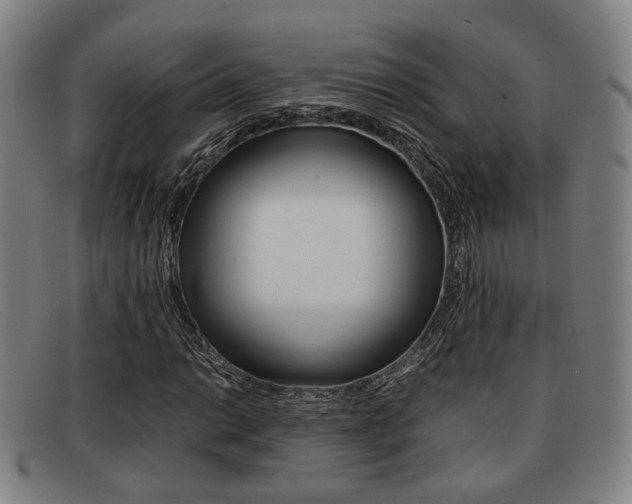 X0000092061014200709121001