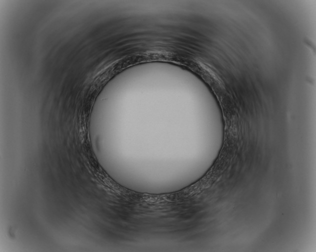 X0000092061015200709121001