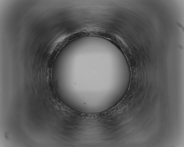 X0000092061016200709121001