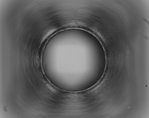 X0000092061018200709121001