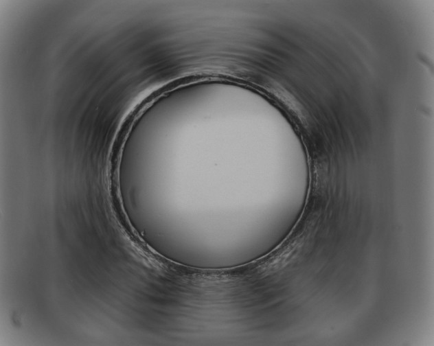 X0000092061020200709121001