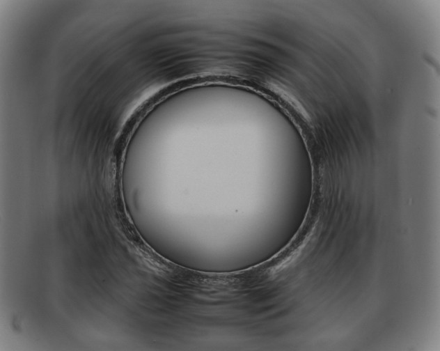 X0000092061021200709121001