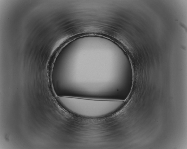 X0000092061022200709121001