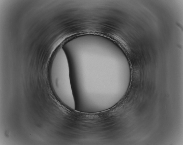 X0000092061023200709121001