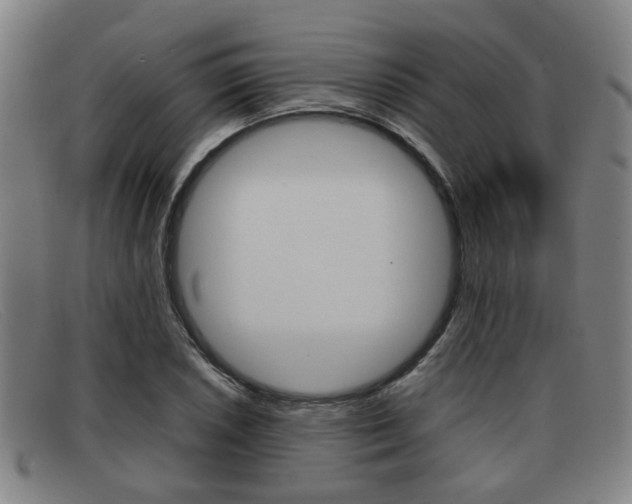 X0000092061026200709121001
