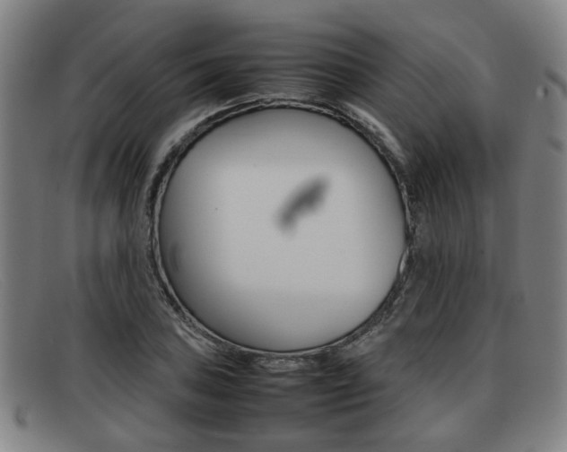 X0000092061027200709121001