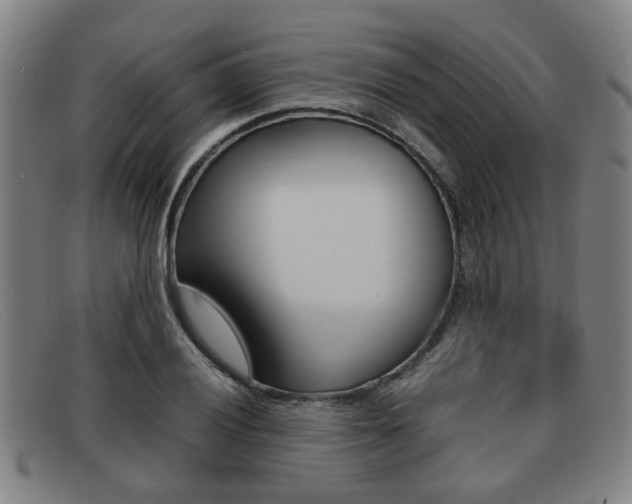 X0000092061028200709121001