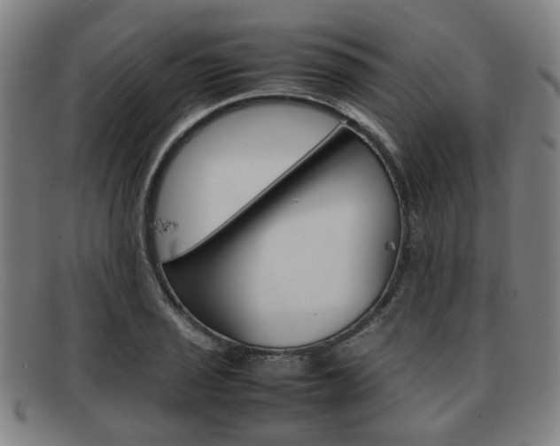 X0000092061029200709121001