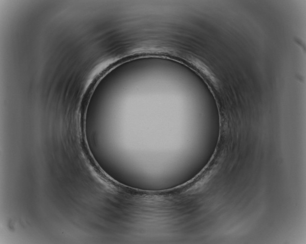 X0000092061030200709121001